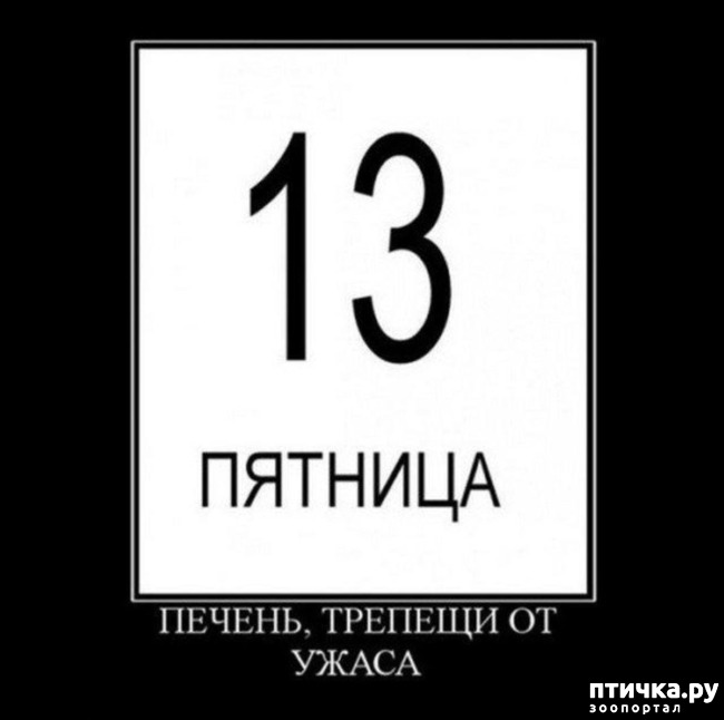 ���� 2: � ����� ������� 13)))