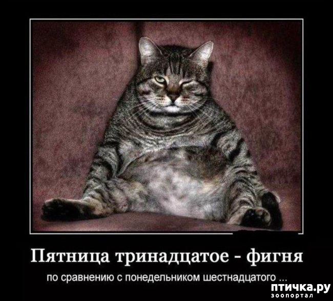 ���� 4: � ����� ������� 13)))