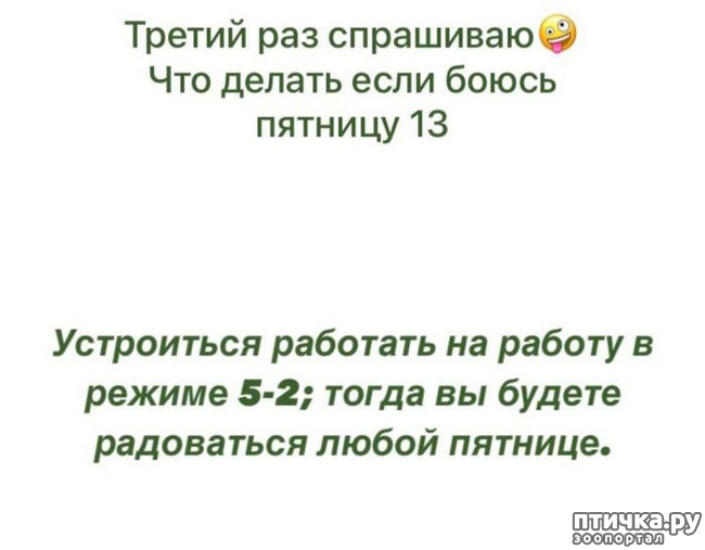 ���� 5: � ����� ������� 13)))