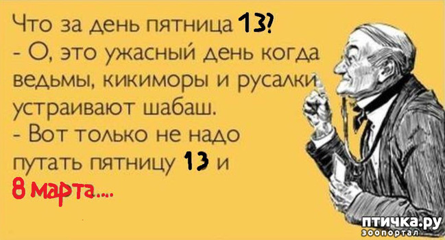 ���� 6: � ����� ������� 13)))