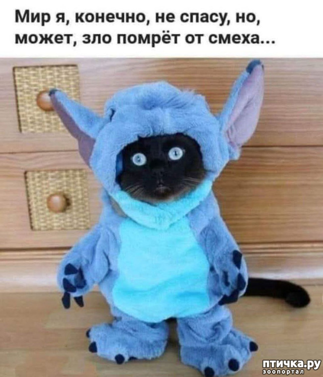 ���� 9: � ����� ������� 13)))