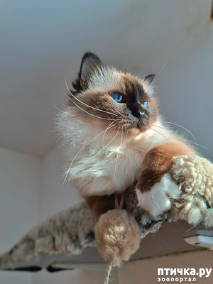 фотография: Стой, кто плывёт! фото: Стой, кто плывёт!