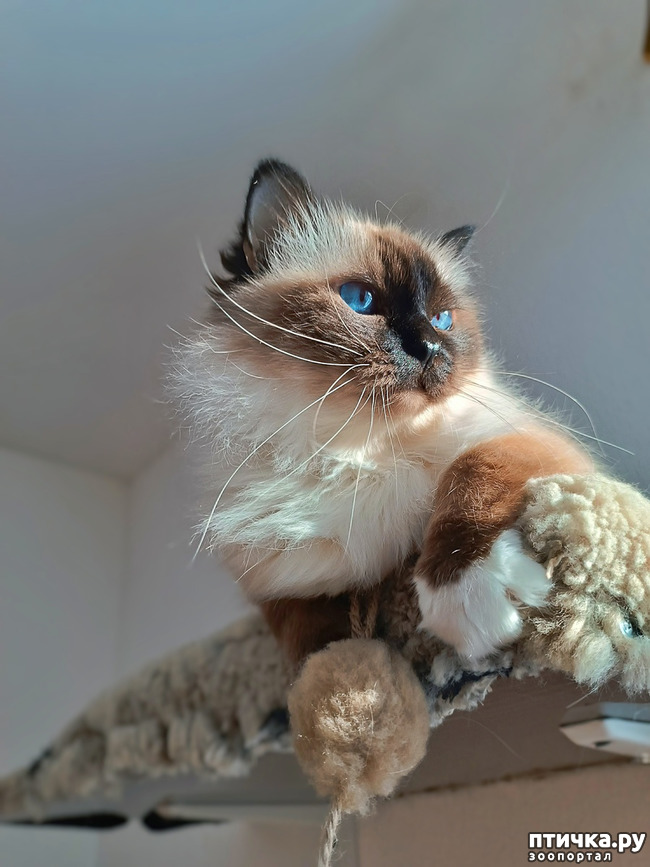 ���� 1: ����, ��� �����!