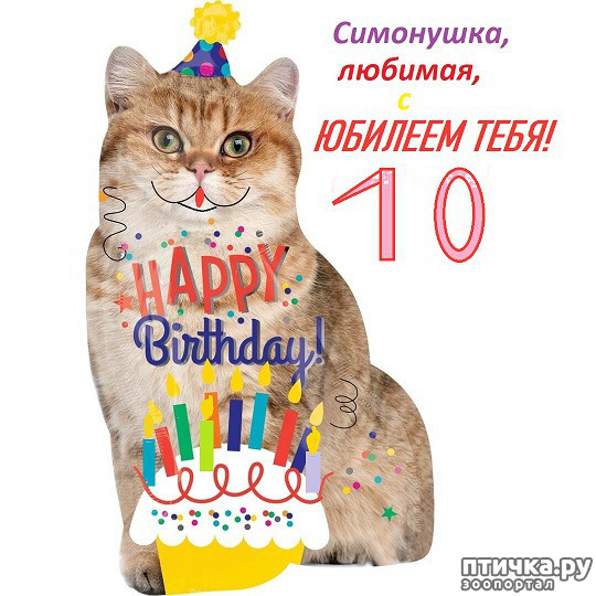 ���� 3: ���� �������� ���� ������� �������� �������!