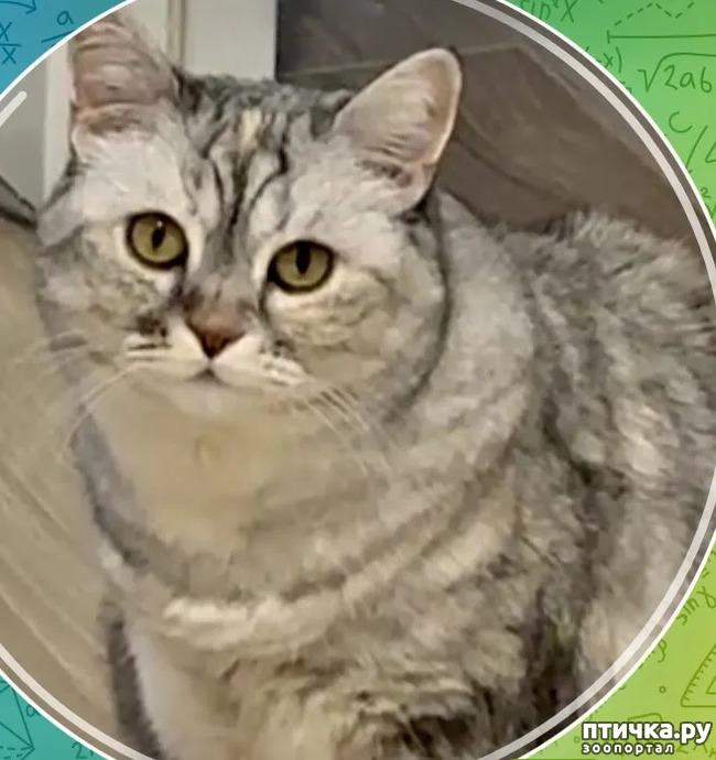 ���� 2: ���� �������� ���� ������� �������� �������!