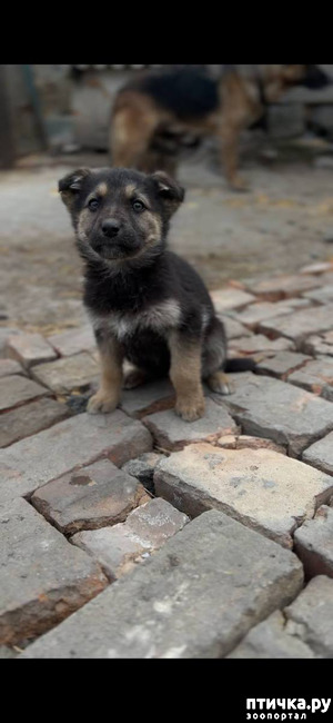 ����: ����� ������ ������?