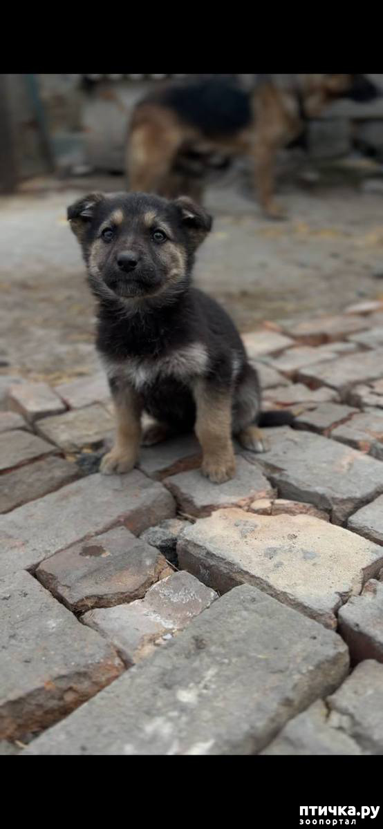 ���� 1: ����� ������ ������?