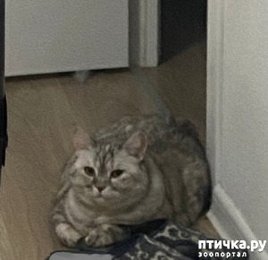 ����: � ������ � ������.