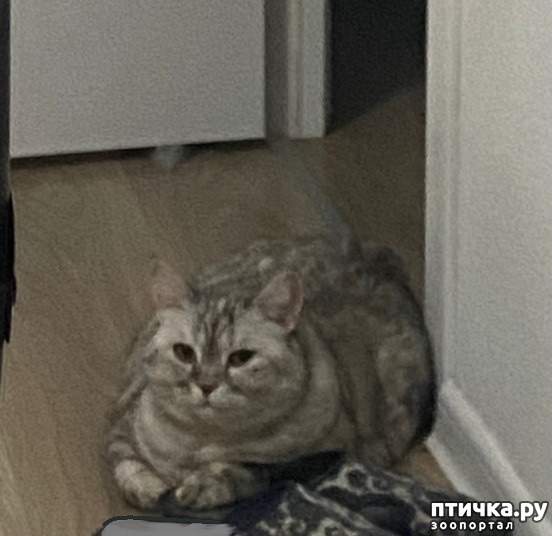 ���� 1: � ������ � ������.