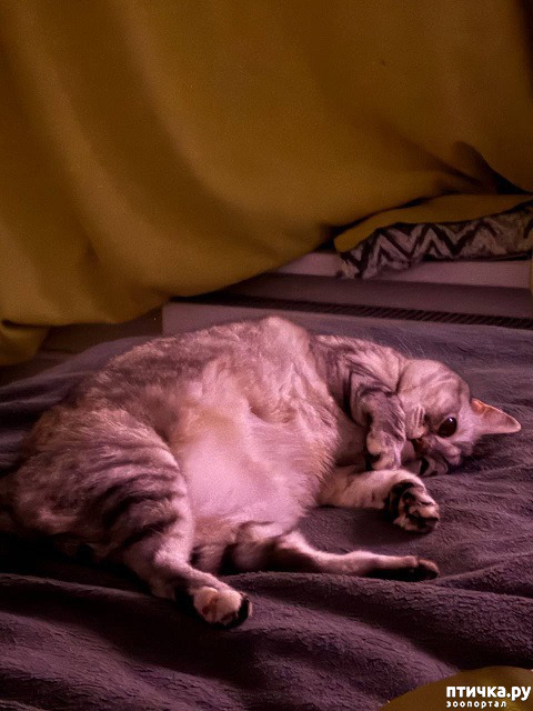 ���� 2: � ������ � ������.