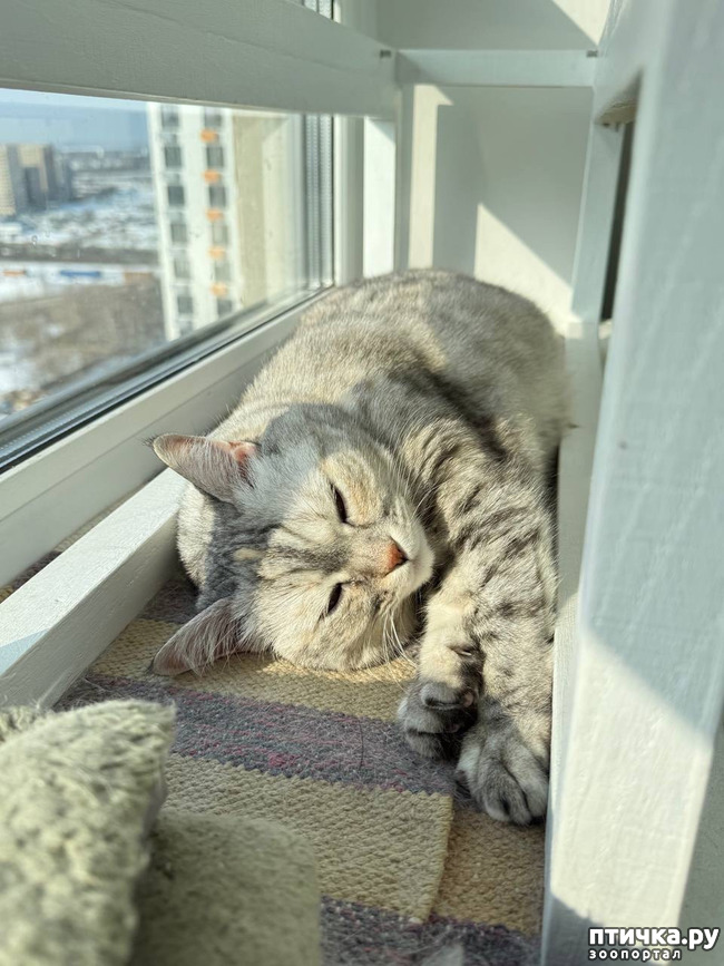 ���� 4: � ������ � ������.