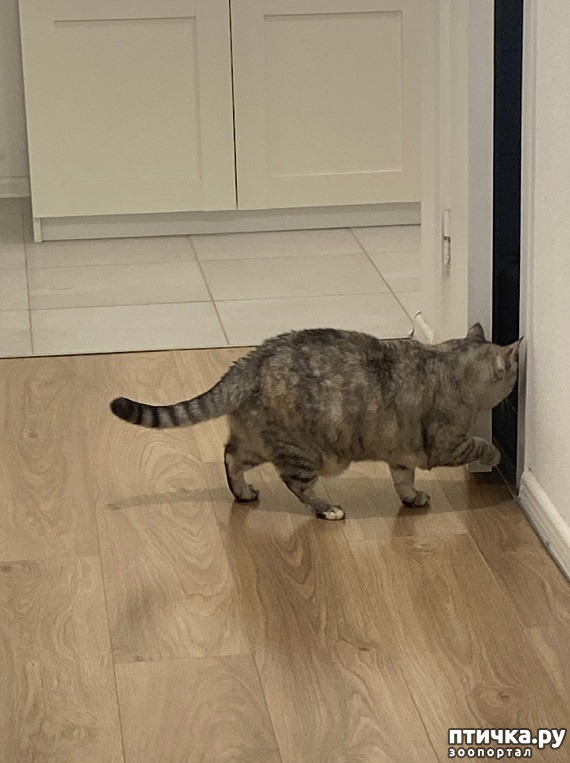 ���� 5: � ������ � ������.