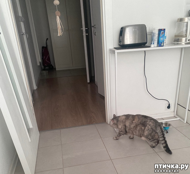 ���� 3: � ������ � ������.