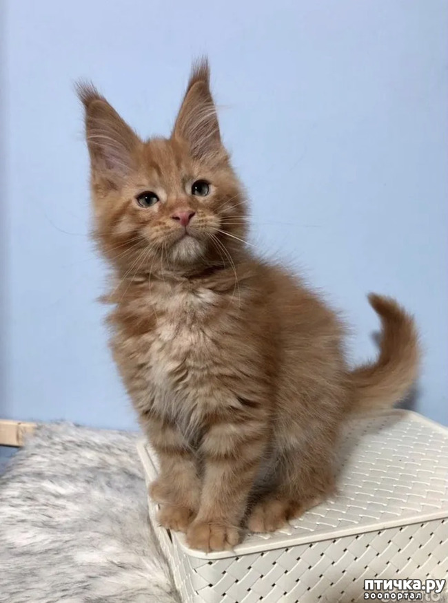 ���� 1: ��� ������ :)