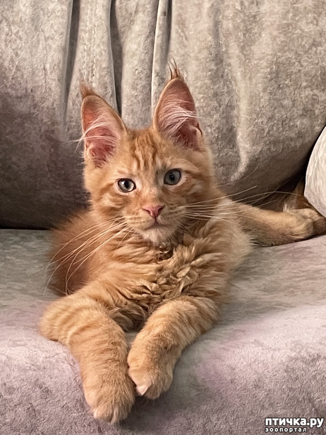 ���� 2: ��� ������ :)