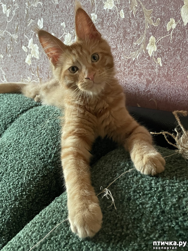 ���� 3: ��� ������ :)