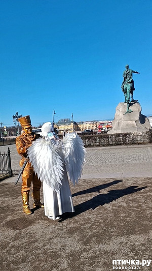 фотография: Питер, март 2026. Поворот в "нетуда". фото: Питер, март 2026. Поворот в "нетуда".