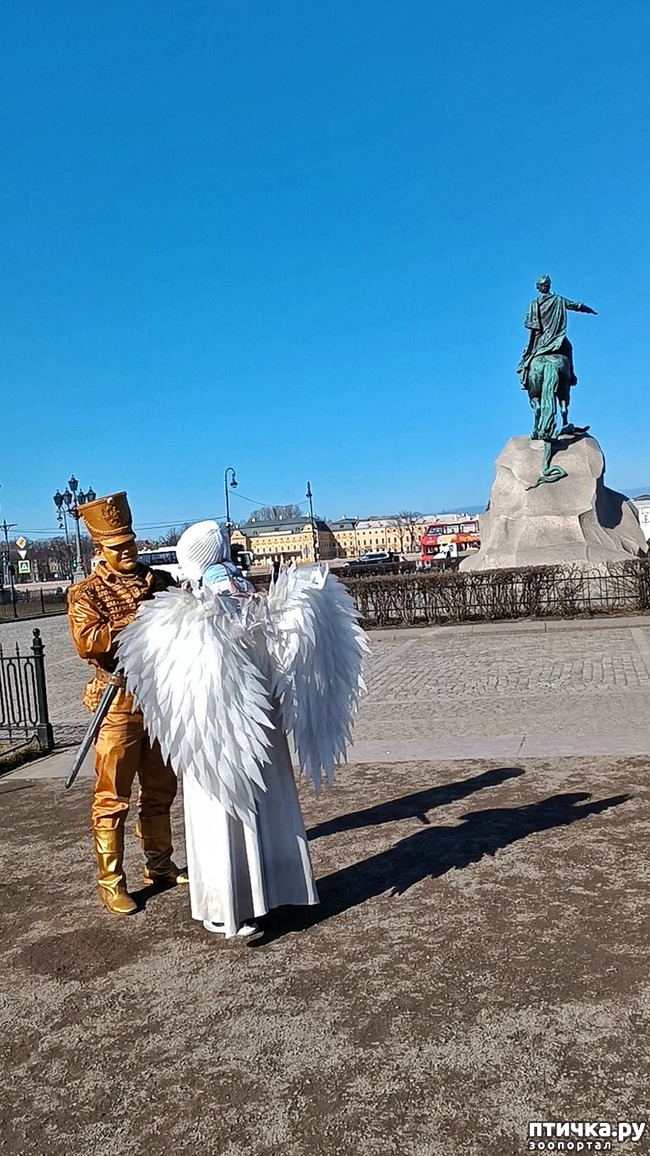 ���� 1: �����, ���� 2026. ������� � 