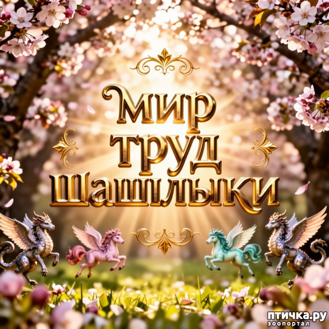 ���� 7: ��������, ��������! ��� �������� �������!