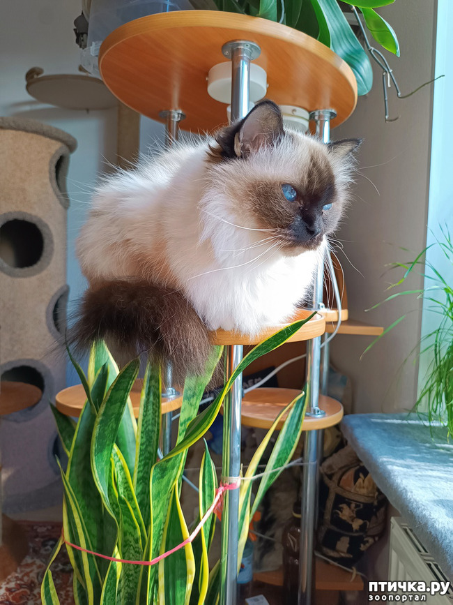 ���� 3: ������� �����