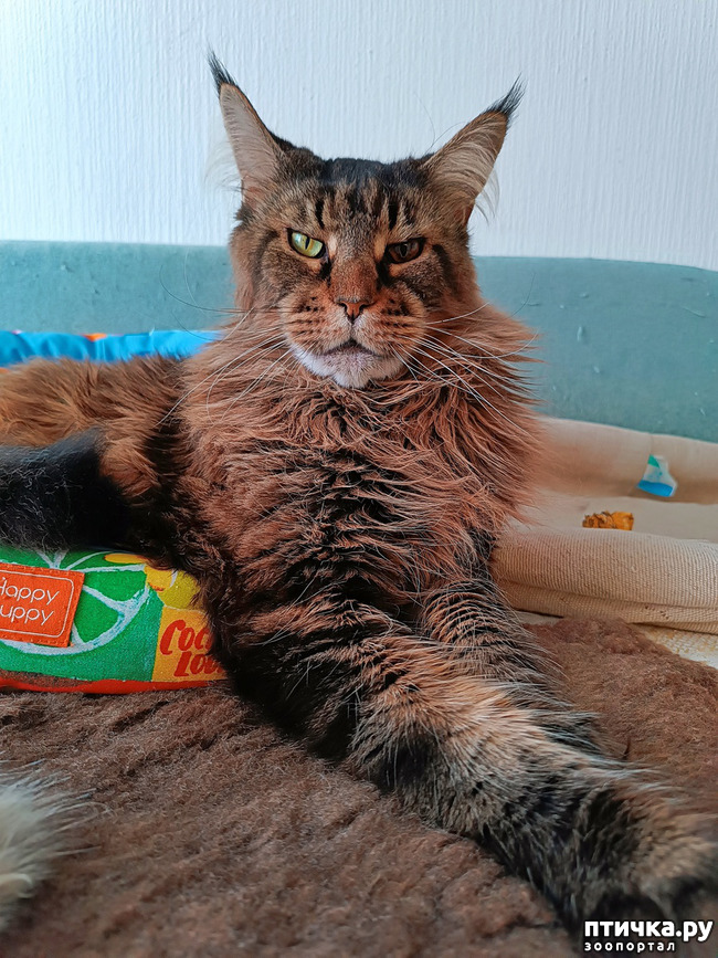 ���� 1: ������� �����