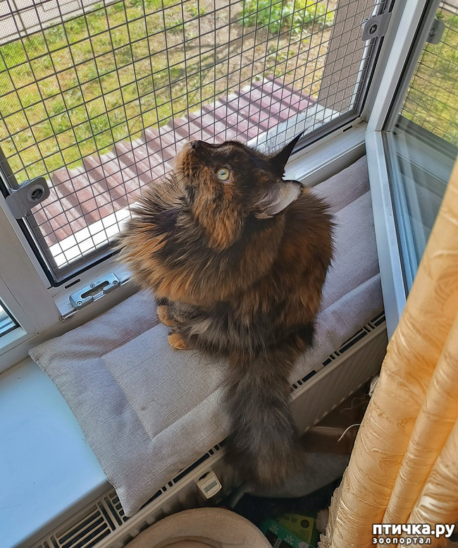 ���� 2: ������� �����