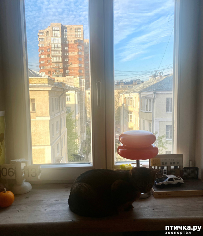 ���� 2: � � ������))