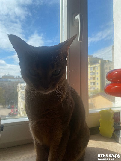 ���� 3: � � ������))