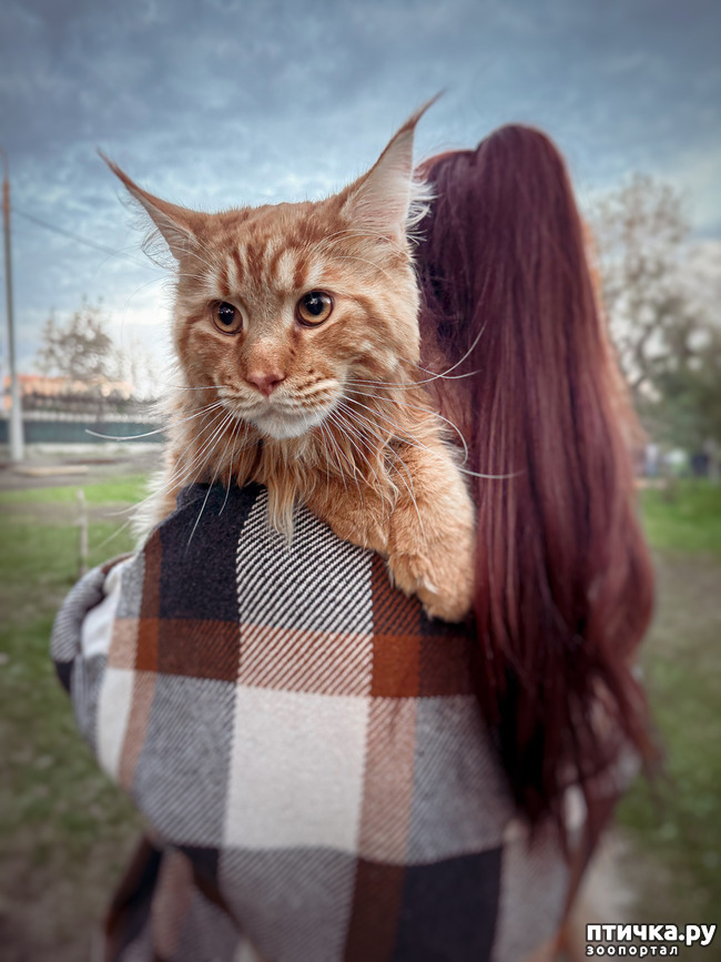 ���� 2: ��� ����-��� �������� - ������