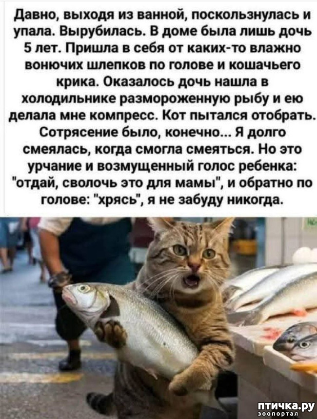 ���� 4: ������� ������.