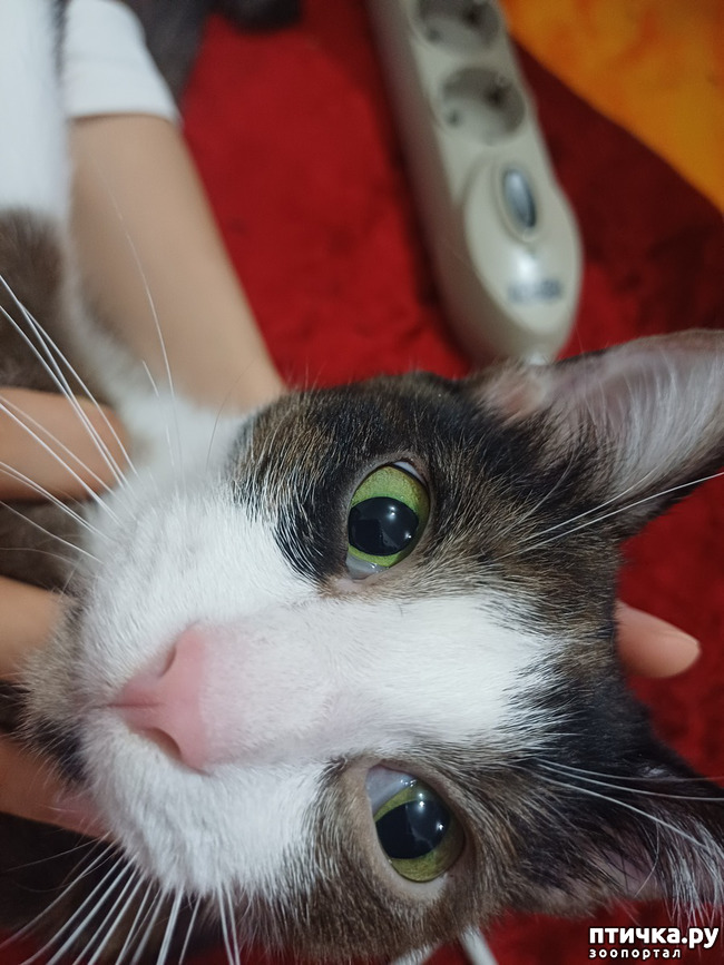 ���� 1: �����