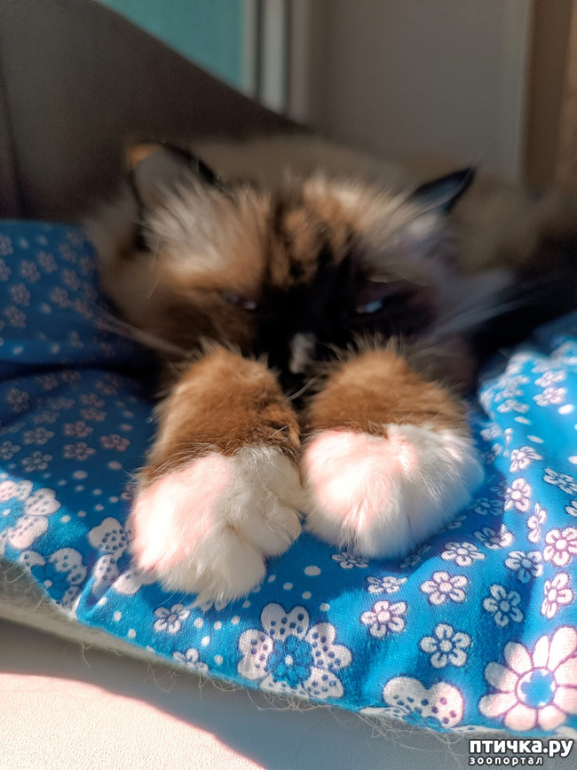 ���� 3: ��������� �����