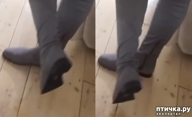 ���� 6: Amy-Rose Walker Feet Foot