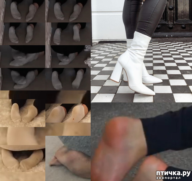 ���� 12: Amy-Rose Walker Feet Foot