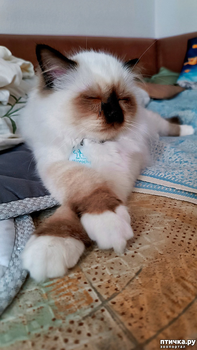 ���� 3: ����