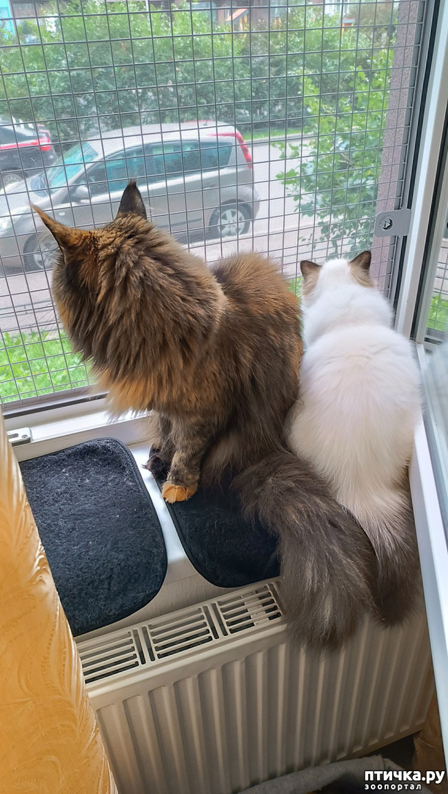 ���� 1: ����