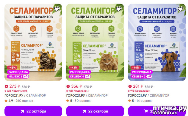 ���� 5: ��� ���������� �� �������� �� ����