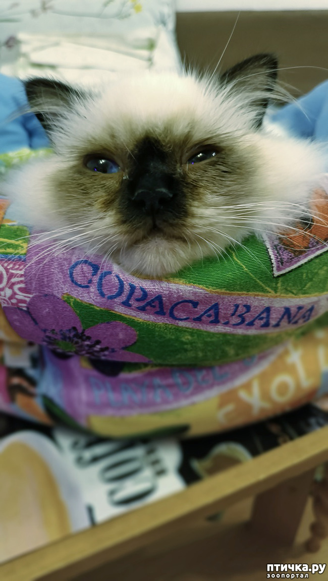 ���� 1: ������� �����
