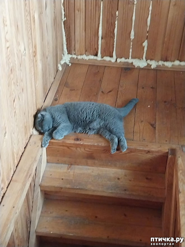 ���� 7: �������� �� ��������...