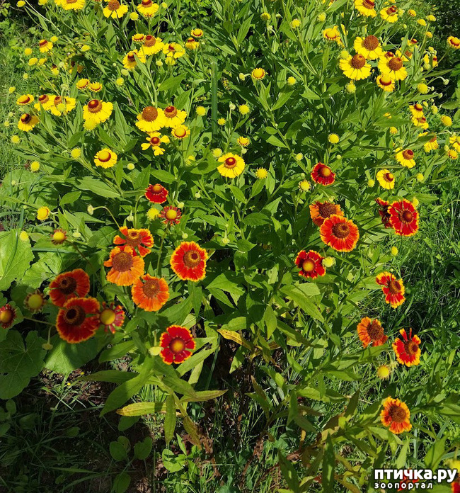 ���� 1: �������� �� ��������...