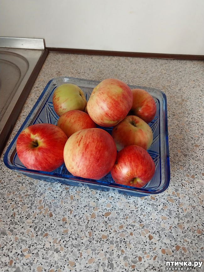���� 4: �������� �� ��������...