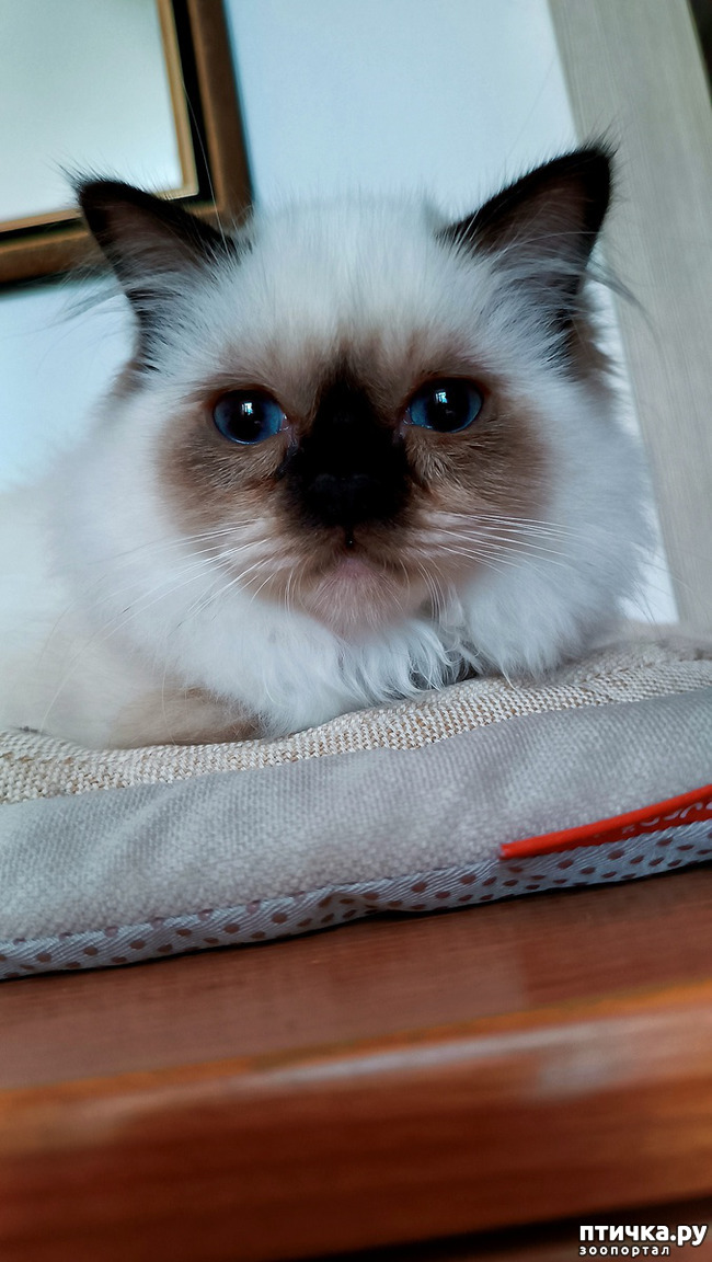���� 3: ���������