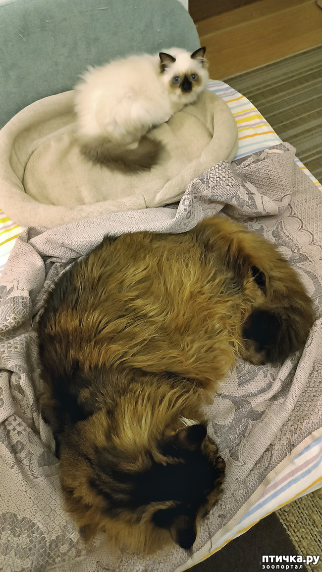 ���� 2: ���������