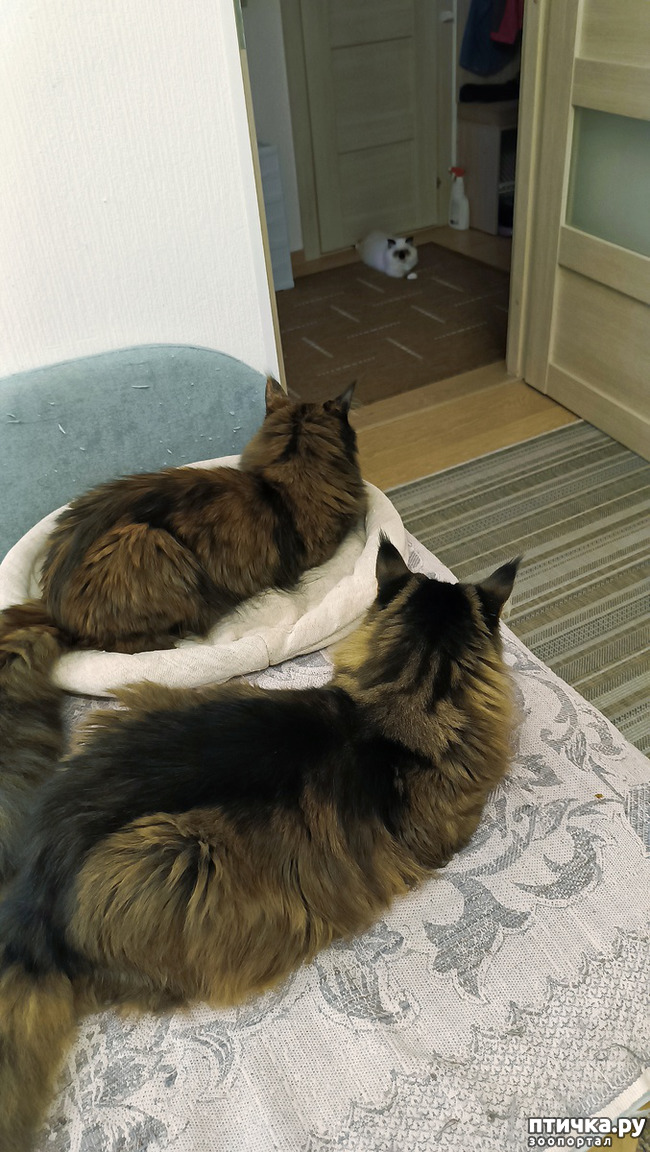 ���� 1: ���������