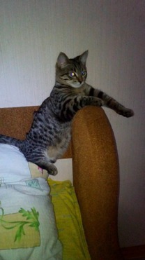 Василий