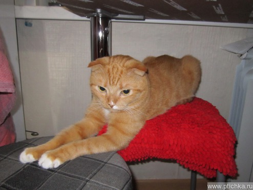 Ловис